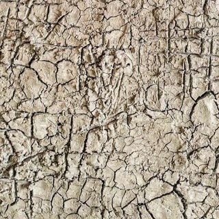 Langa Cruda: Sara Melis espone a Monforte d'Alba