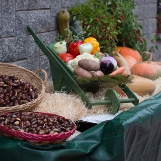A Cervasca torna la Castagnata: tre giorni tra funghi, musica e tradizione A Cervasca torna la Castagnata: tre giorni tra funghi, musica e tradizione