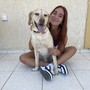 Animali di casa, tutti i servizi in un’unica app Animali di casa, tutti i servizi in un’unica app