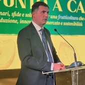 Claudio Sacchetto Claudio Sacchetto