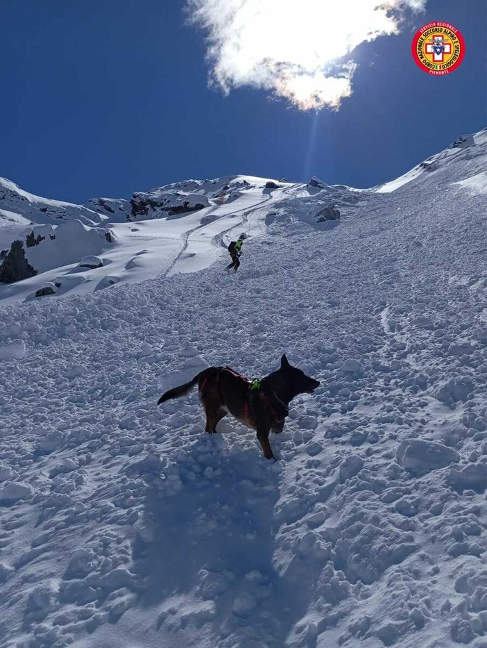 Neve abbondante sulle Alpi liguri e marittime: unità cinofila da valanga operativa già da domani a Levaldigi