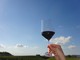 Cantine Mascarello assume: ricerca attiva per impiegato/a commerciale con conoscenza della lingua francese Cantine Mascarello assume: ricerca attiva per impiegato/a commerciale con conoscenza della lingua francese