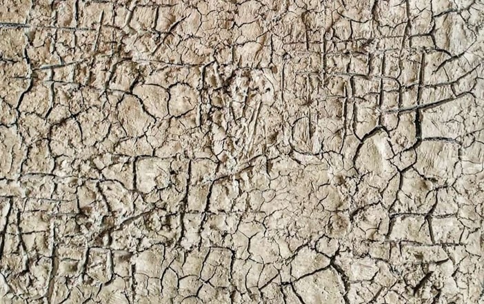 Langa Cruda: Sara Melis espone a Monforte d'Alba Langa Cruda: Sara Melis espone a Monforte d'Alba