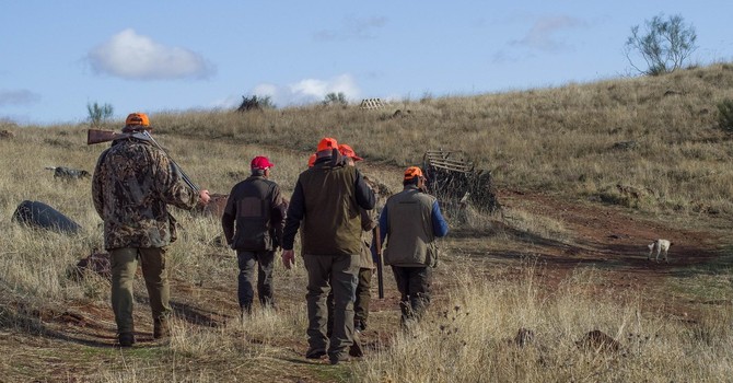 Fauna selvatica allo stremo dopo caldo, siccità e incendi: “Sospendere la caccia” Fauna selvatica allo stremo dopo caldo, siccità e incendi: “Sospendere la caccia”
