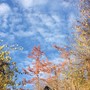 METEO / Maltempo oggi su Alpi e pianure, da sabato torna il bel tempo METEO / Maltempo oggi su Alpi e pianure, da sabato torna il bel tempo