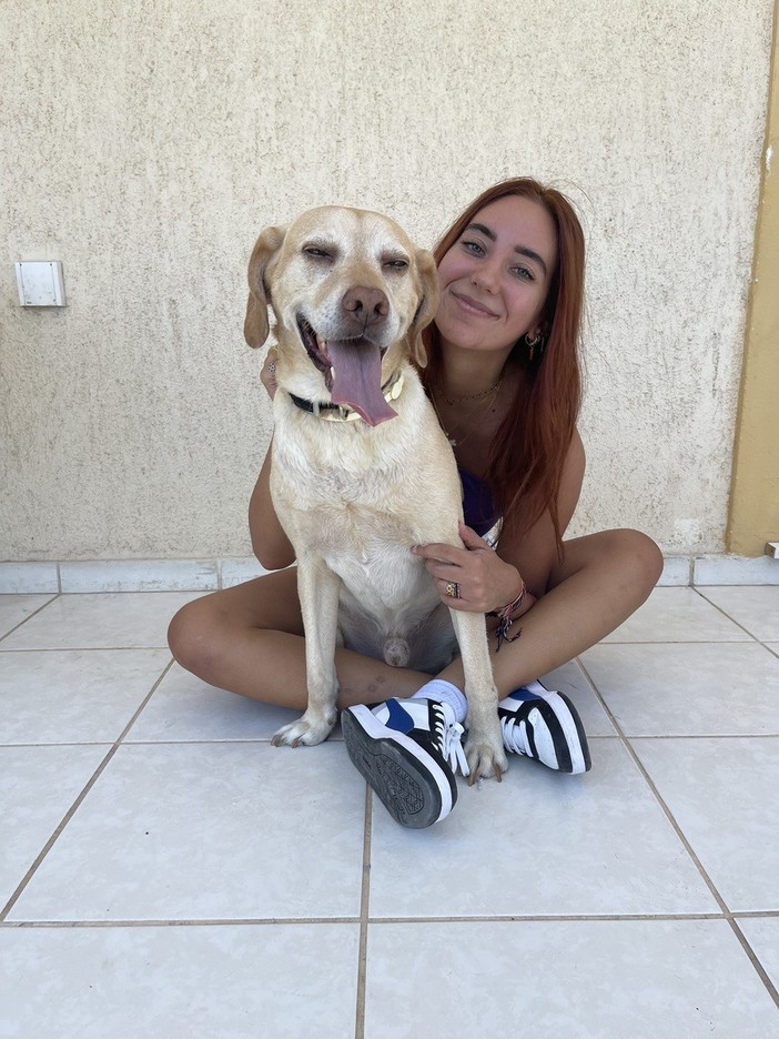 Animali di casa, tutti i servizi in un’unica app Animali di casa, tutti i servizi in un’unica app
