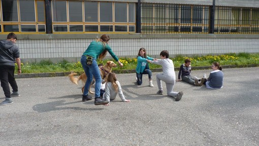 L'intervento sul campo con i cani, nell'ambito della campagna Ciao Bau dell'asl Cn1
