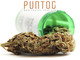 Cannabis Legale in vendita on line sul sito di PuntoG