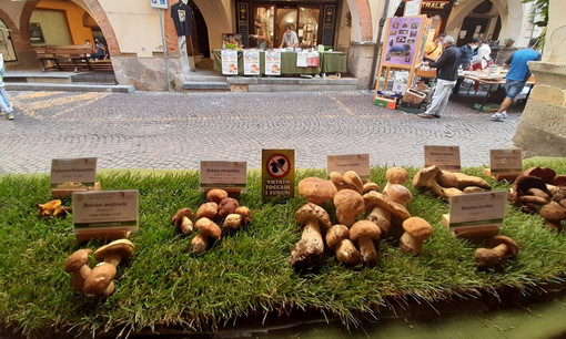 Oggi l'arrivo a Boves della Carovana della Pace, mentre Ceva e Carrù celebrano l'autunno con uva e funghi Oggi l'arrivo a Boves della Carovana della Pace, mentre Ceva e Carrù celebrano l'autunno con uva e funghi