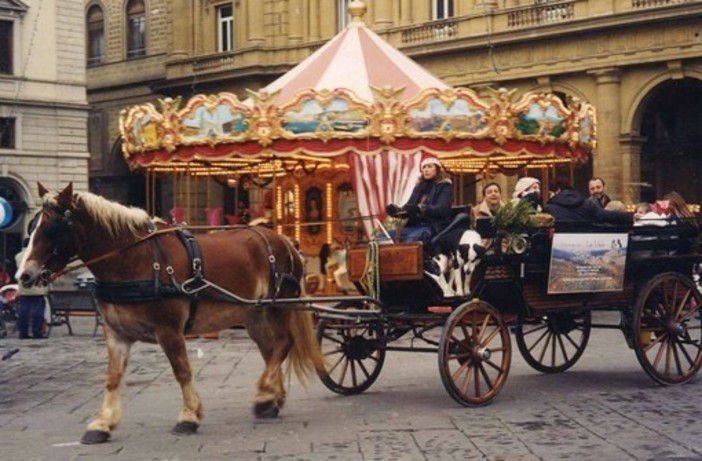 Cuneo, continua il confronto sulla carrozza di Natale. Le associazioni: “Riconsiderare l’uso dei cavalli negli eventi cittadini” Cuneo, continua il confronto sulla carrozza di Natale. Le associazioni: “Riconsiderare l’uso dei cavalli negli eventi cittadini”