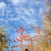 METEO / Maltempo oggi su Alpi e pianure, da sabato torna il bel tempo METEO / Maltempo oggi su Alpi e pianure, da sabato torna il bel tempo