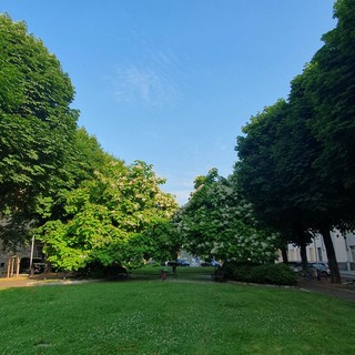 Corso Dante