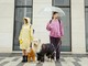 How Pets Help People Connect Faster How Pets Help People Connect Faster