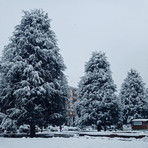 Piazza Europa, sbloccato l’iter dal Tar ora il Comune valuta la ripartenza dei lavori