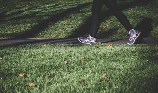 Immagine di repertorio Immagine di repertorio