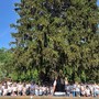 Un pomeriggio speciale alla Scuola Primaria di Ceva: emozioni in musica con “Scuola… che Banda!” Un pomeriggio speciale alla Scuola Primaria di Ceva: emozioni in musica con “Scuola… che Banda!”