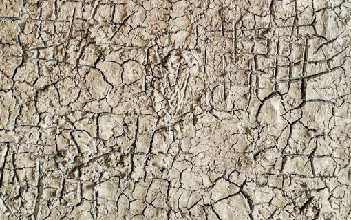 Langa Cruda: Sara Melis espone a Monforte d'Alba Langa Cruda: Sara Melis espone a Monforte d'Alba