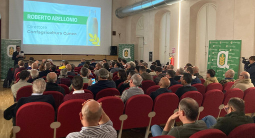 Il latte piemontese alla prova dei mercati: difficoltà all’orizzonte ma costi sotto controllo Il latte piemontese alla prova dei mercati: difficoltà all’orizzonte ma costi sotto controllo