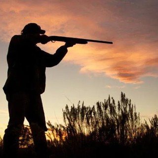 Accolto il ricorso degli ambientalisti: il Tar del Piemonte sospende la caccia al colombaccio in preapertura Accolto il ricorso degli ambientalisti: il Tar del Piemonte sospende la caccia al colombaccio in preapertura