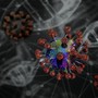 Hantavirus: cosa sapere e come proteggersi, dall’Iss le risposte alle domande più frequenti Hantavirus: cosa sapere e come proteggersi, dall’Iss le risposte alle domande più frequenti