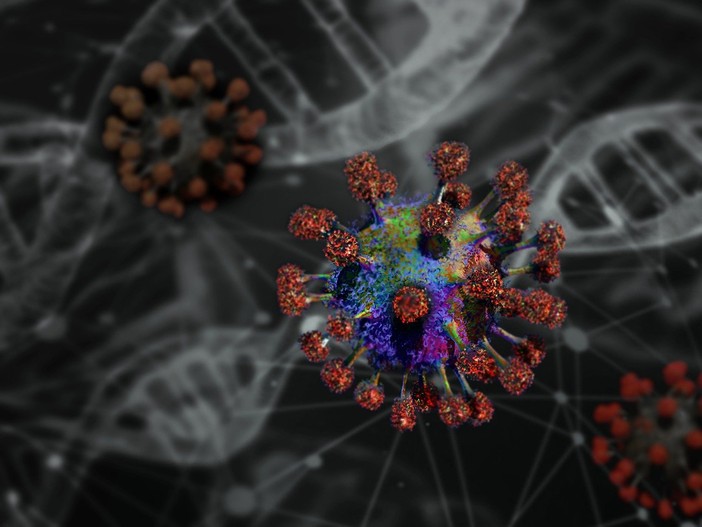 Hantavirus: cosa sapere e come proteggersi, dall’Iss le risposte alle domande più frequenti Hantavirus: cosa sapere e come proteggersi, dall’Iss le risposte alle domande più frequenti