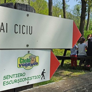 Riserva dei Ciciu del Villar, cercasi gestore dei servizi turistici