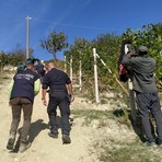Lavoratori stagionali, Alba avvia un progetto triennale per l'accoglienza: alloggi e servizi per 30 addetti dell'agricoltura Lavoratori stagionali, Alba avvia un progetto triennale per l'accoglienza: alloggi e servizi per 30 addetti dell'agricoltura