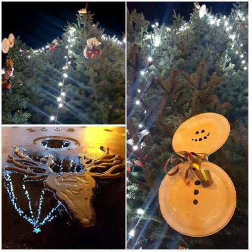 Cervere, anche in questo Natale l'Albero in piazza illumina i nuovi nati