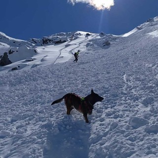 Neve abbondante sulle Alpi liguri e marittime: unità cinofila da valanga operativa già da domani a Levaldigi