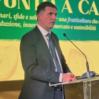 Emergenze in Piemonte, Sacchetto: "Norme più chiare e interventi più rapidi" Emergenze in Piemonte, Sacchetto: "Norme più chiare e interventi più rapidi"