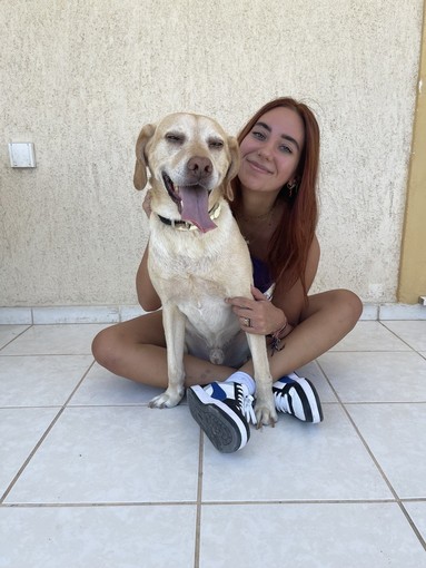 Animali di casa, tutti i servizi in un’unica app Animali di casa, tutti i servizi in un’unica app