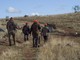 Fauna selvatica allo stremo dopo caldo, siccità e incendi: “Sospendere la caccia”
