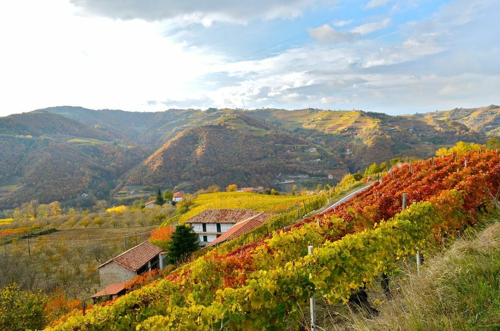 Dai sorì delle Langhe alla bottiglia: la filiera corta di Terrenostre Dai sorì delle Langhe alla bottiglia: la filiera corta di Terrenostre