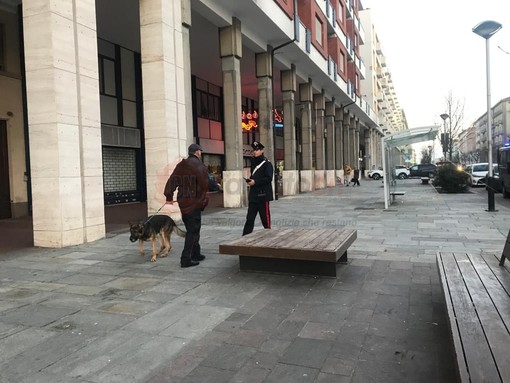 Immagine di repertorio Immagine di repertorio