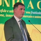 Claudio Sacchetto Claudio Sacchetto
