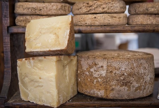 Tutto il cacio minuto per minuto: tra meno di un mese, a Bra, la 12ª edizione di Cheese