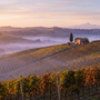 Dalle Langhe alla pianura: come le imprese della provincia di Cuneo trovano nuovi clienti online