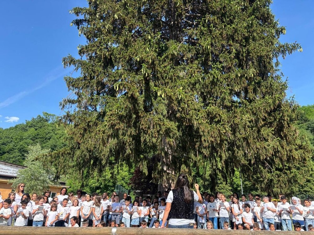 Un pomeriggio speciale alla Scuola Primaria di Ceva: emozioni in musica con “Scuola… che Banda!” Un pomeriggio speciale alla Scuola Primaria di Ceva: emozioni in musica con “Scuola… che Banda!”