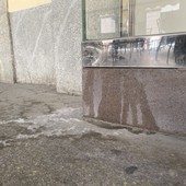 Non solo il sacchetto: a Saluzzo chi è a passeggio con il cane sarà obbligato a lavare la pipì