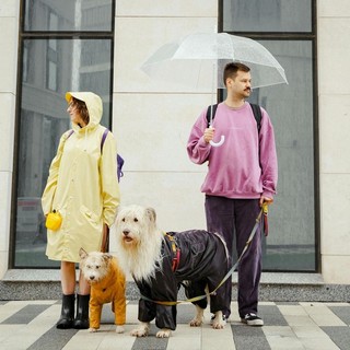 How Pets Help People Connect Faster How Pets Help People Connect Faster