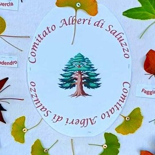 Comitato Alberi di Saluzzo: festa degli alberi con le opere dei bambini delle Scuole dell'Infanzia Comitato Alberi di Saluzzo: festa degli alberi con le opere dei bambini delle Scuole dell'Infanzia