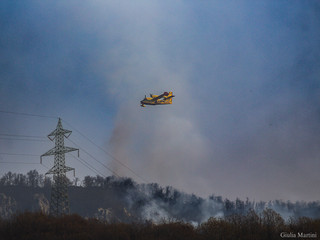 Il canadair in azione Foto Giulia Martini