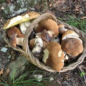 Il cesto pieno di funghi porcini della nostra lettrice di Ostana