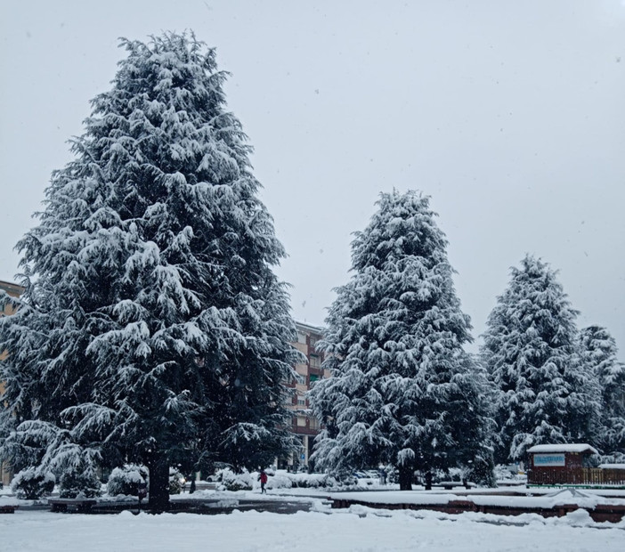 Piazza Europa, sbloccato l’iter dal Tar ora il Comune valuta la ripartenza dei lavori Piazza Europa, sbloccato l’iter dal Tar ora il Comune valuta la ripartenza dei lavori