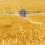 Immagine di repertorio Immagine di repertorio