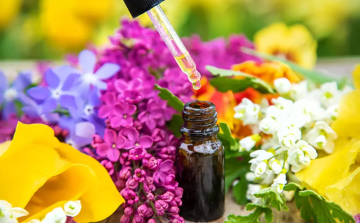 Benessere ed equilibrio emotivo: al CFPCemon “Ernesto Rebaudengo” di Ceva due nuovi corsi su Fiori di Bach e Chakra