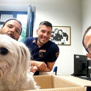 Recuperata in un canale dopo dieci giorni di ricerche, ora Chanel è al sicuro