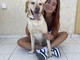 Animali di casa, tutti i servizi in un’unica app