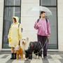 How Pets Help People Connect Faster How Pets Help People Connect Faster