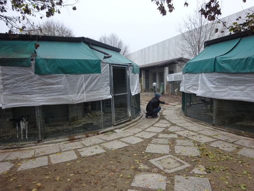 Il canile di Pollenzo sotto i riflettori: l'Amministrazione si difende dalle critiche